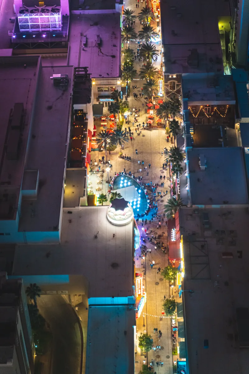 Aerial view straight down onto a palm-lined pedestrian promenade lit up at night