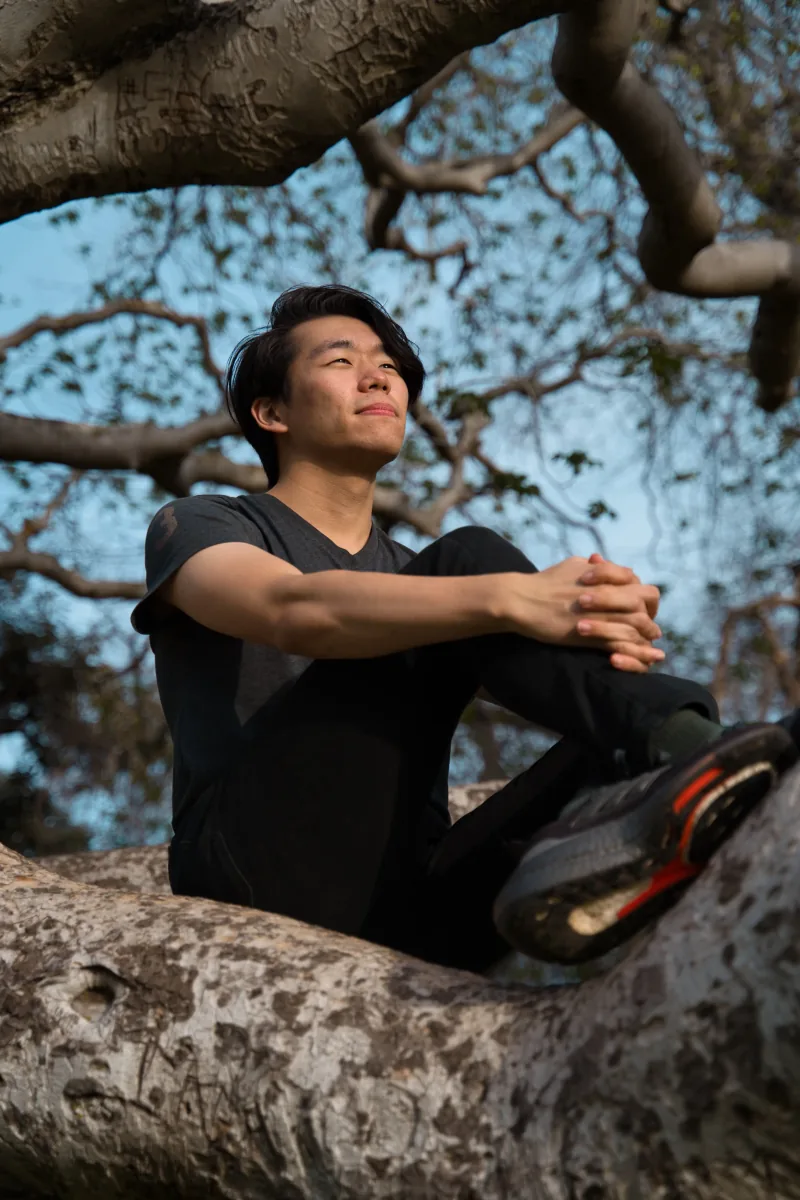 A man sits in the crook of a large tree, arms around one knee, looking up through the branches